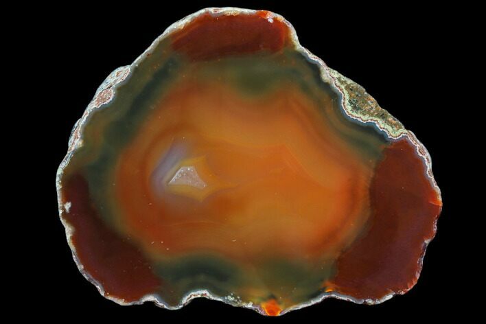 Beautiful Condor Agate From Argentina - Cut/Polished Face #79465